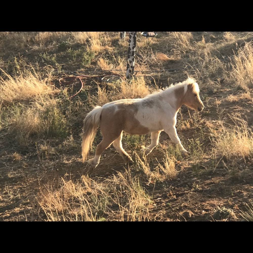 Meet your Posher, Christina